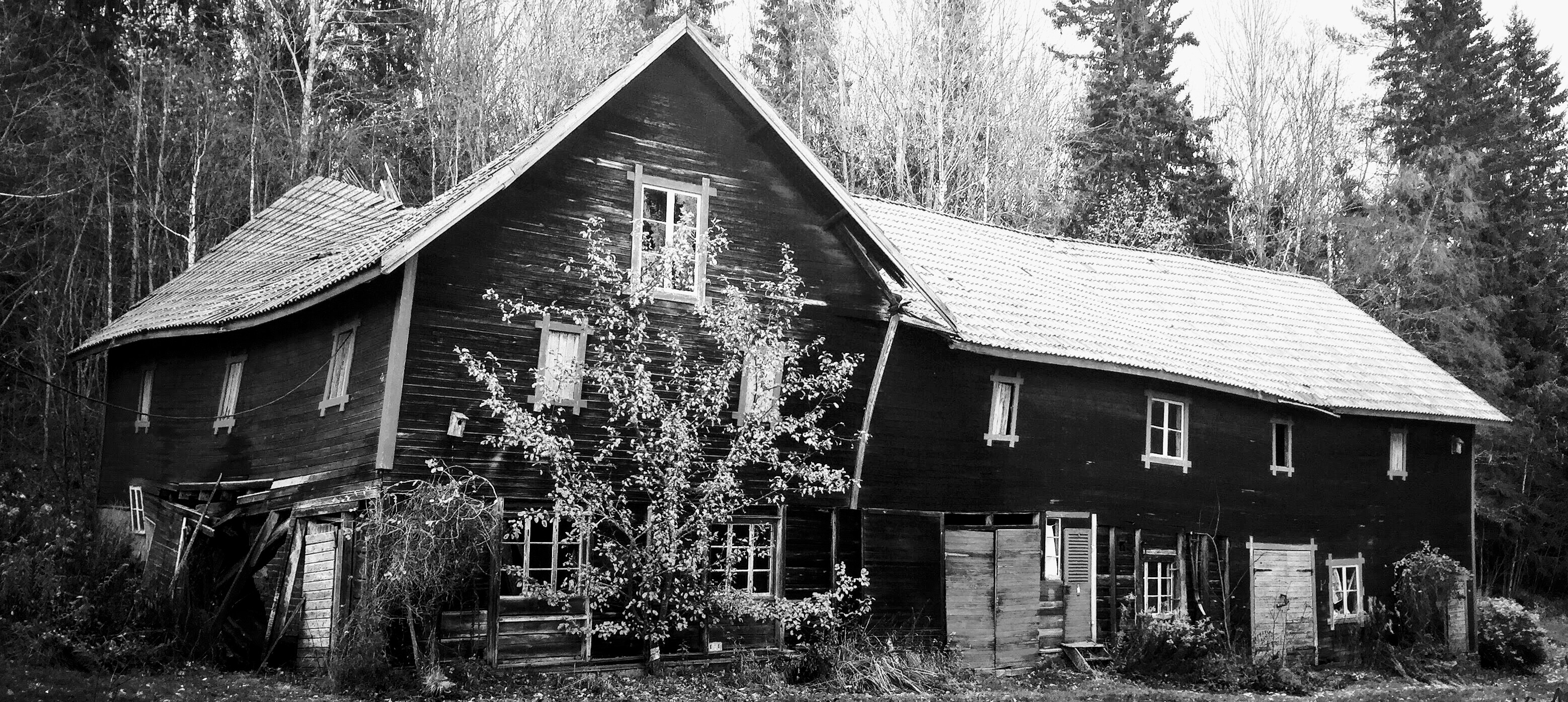 1b4c883e-86b9-4094-b880-a94ade1b1083